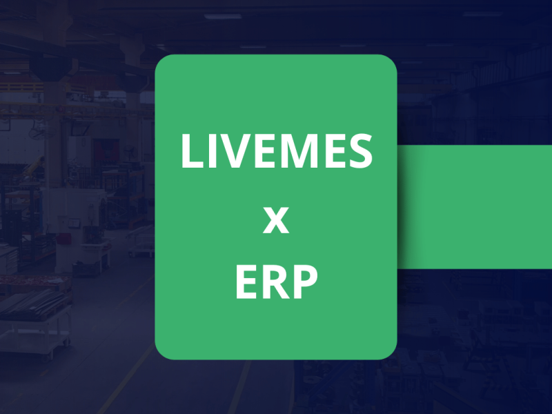 livemes x erp